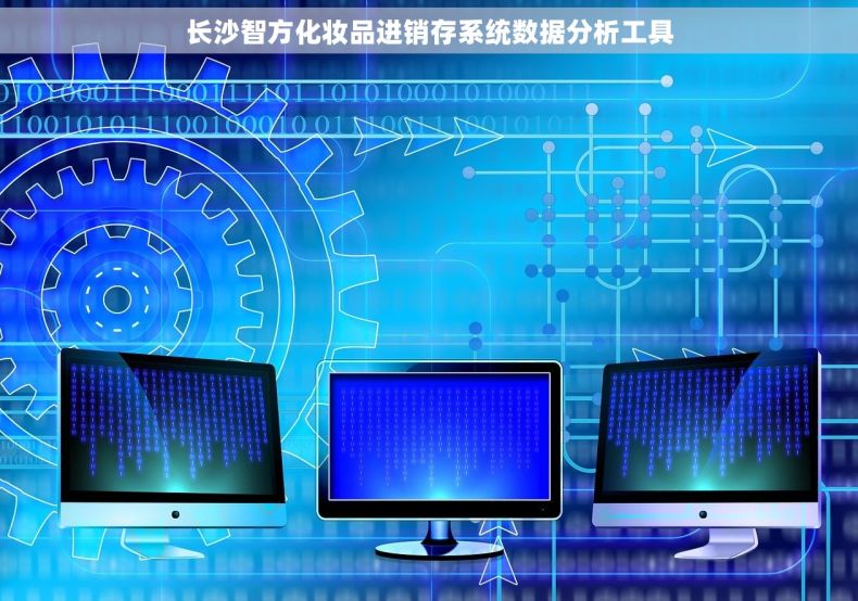 长沙智方化妆品进销存系统数据分析工具
