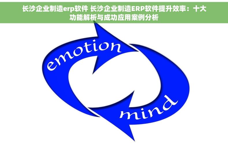 长沙企业制造erp软件 长沙企业制造ERP软件提升效率：十大功能解析与成功应用案例分析