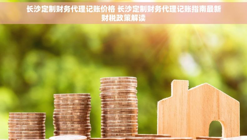 长沙定制财务代理记账价格 长沙定制财务代理记账指南最新财税政策解读