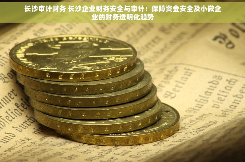 长沙审计财务 长沙企业财务安全与审计：保障资金安全及小微企业的财务透明化趋势