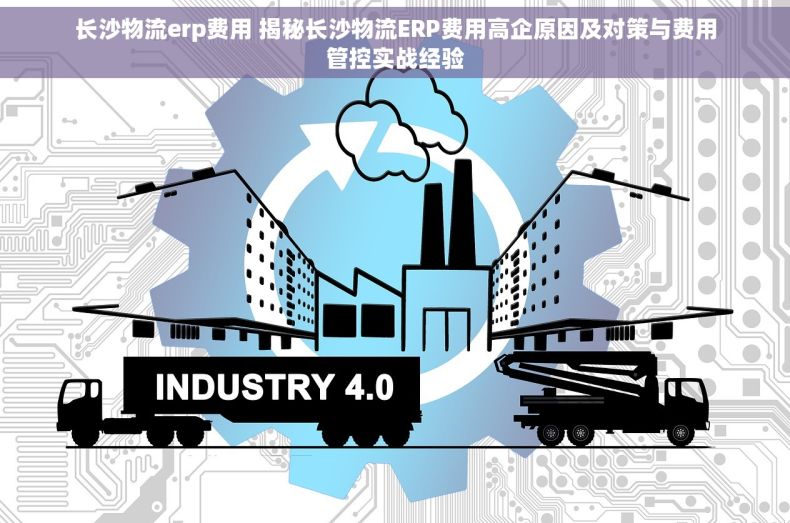 长沙物流erp费用 揭秘长沙物流ERP费用高企原因及对策与费用管控实战经验