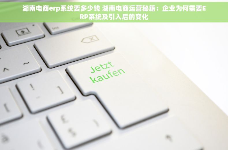 湖南电商erp系统要多少钱 湖南电商运营秘籍：企业为何需要ERP系统及引入后的变化