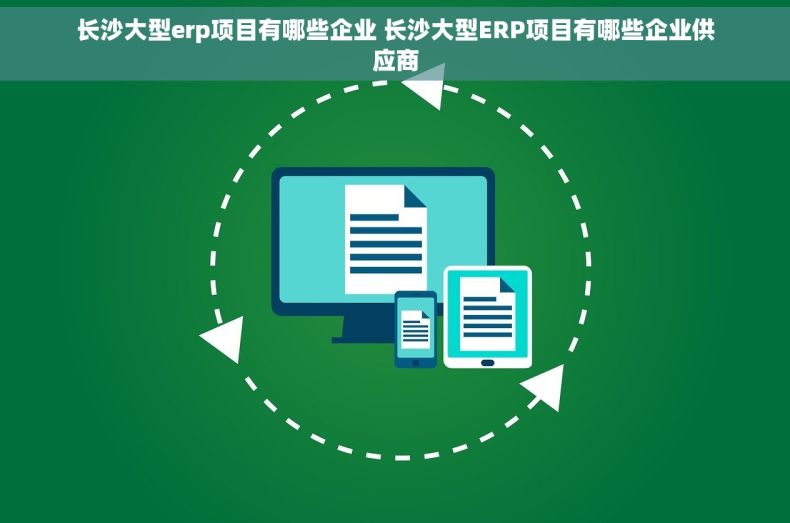 长沙大型erp项目有哪些企业 长沙大型ERP项目有哪些企业供应商