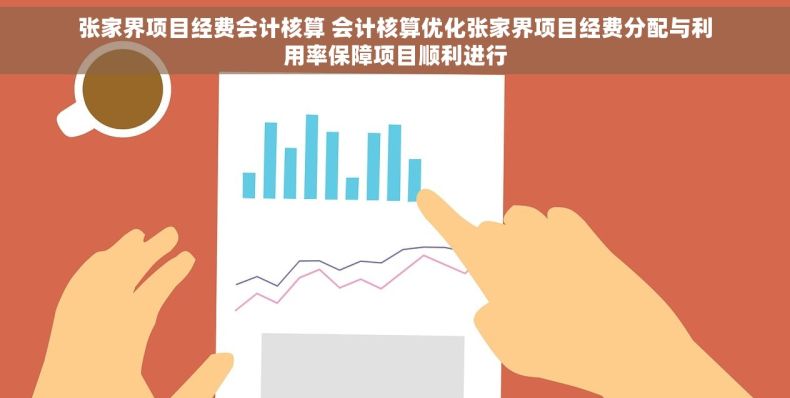 张家界项目经费会计核算 会计核算优化张家界项目经费分配与利用率保障项目顺利进行