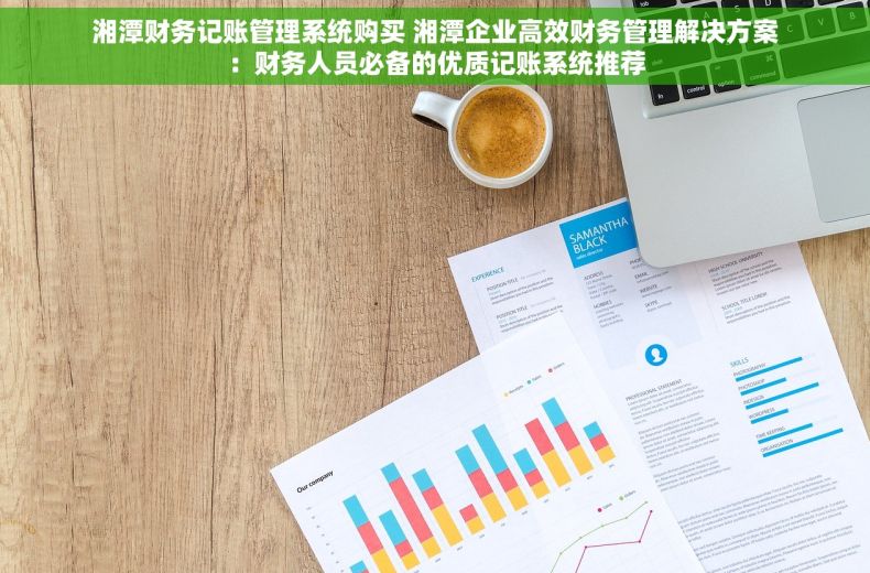 湘潭财务记账管理系统购买 湘潭企业高效财务管理解决方案：财务人员必备的优质记账系统推荐
