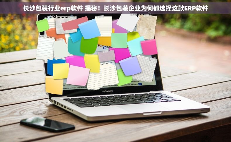 长沙包装行业erp软件 揭秘！长沙包装企业为何都选择这款ERP软件