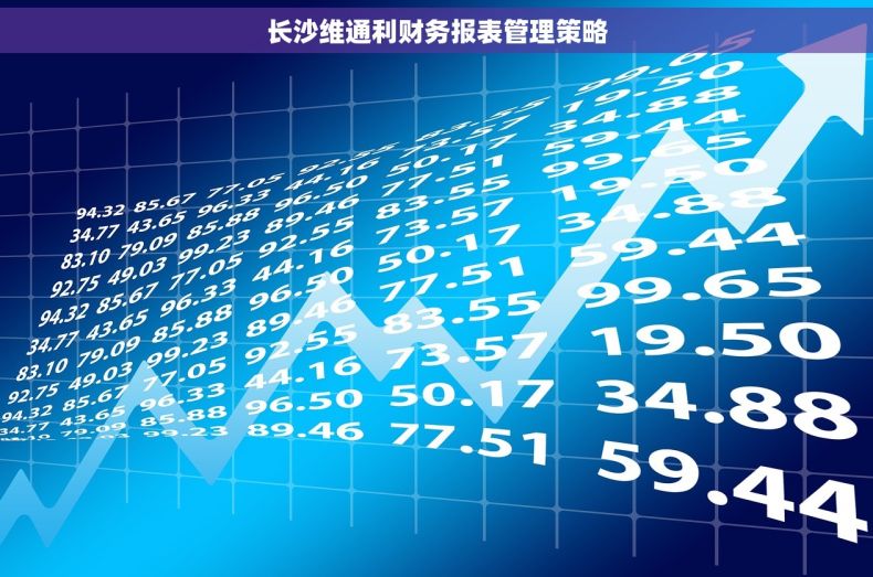 长沙维通利财务报表管理策略