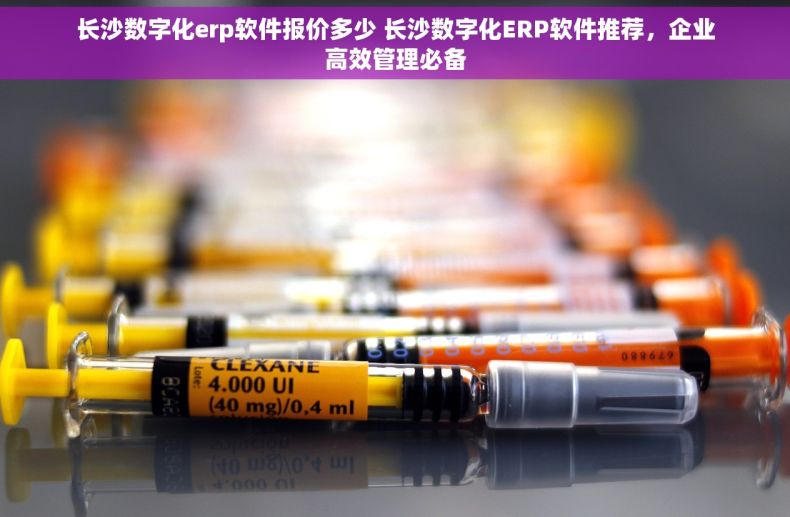长沙数字化erp软件报价多少 长沙数字化ERP软件推荐，企业高效管理必备