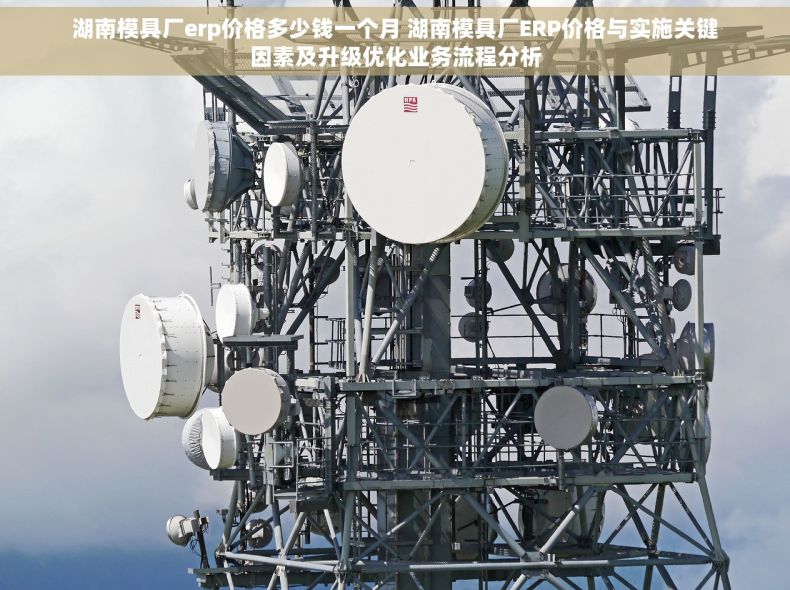 湖南模具厂erp价格多少钱一个月 湖南模具厂ERP价格与实施关键因素及升级优化业务流程分析