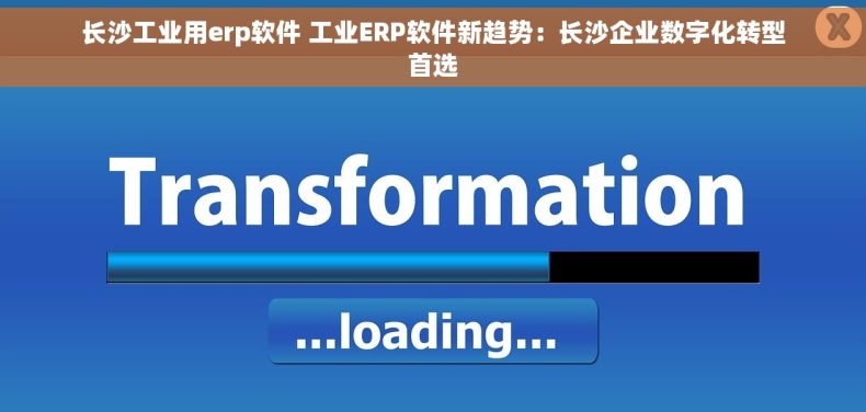 长沙工业用erp软件 工业ERP软件新趋势：长沙企业数字化转型首选