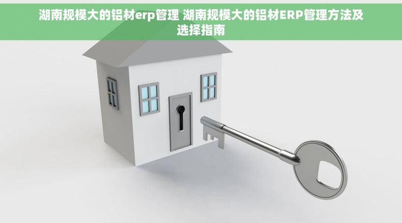 湖南规模大的铝材erp管理 湖南规模大的铝材ERP管理方法及选择指南