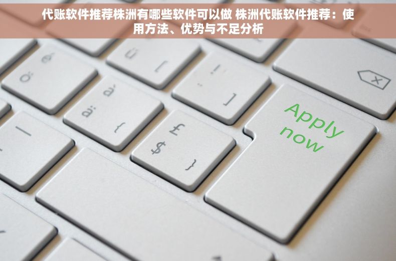 代账软件推荐株洲有哪些软件可以做 株洲代账软件推荐：使用方法、优势与不足分析