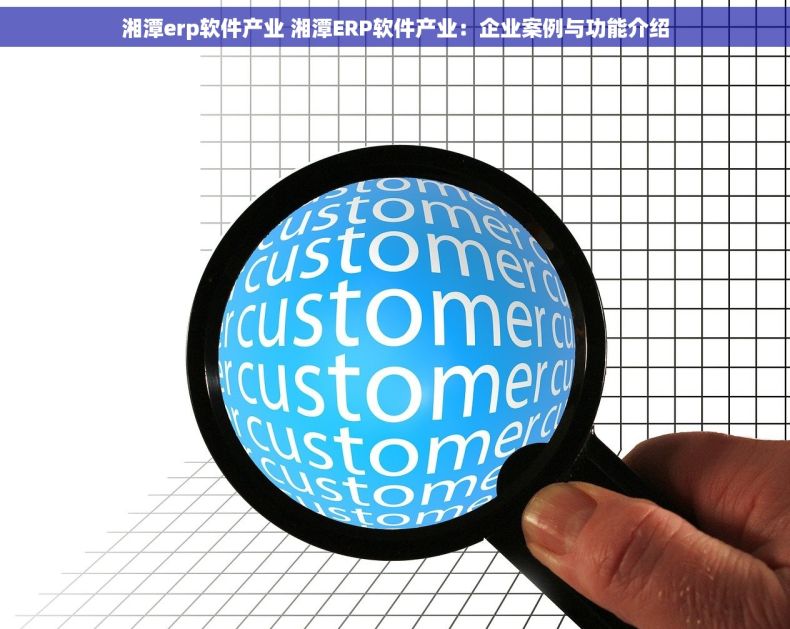 湘潭erp软件产业 湘潭ERP软件产业：企业案例与功能介绍