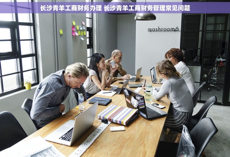 长沙青羊工商财务办理 长沙青羊工商财务管理常见问题