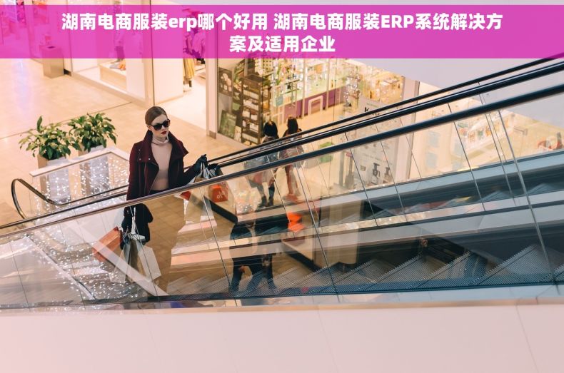 湖南电商服装erp哪个好用 湖南电商服装ERP系统解决方案及适用企业