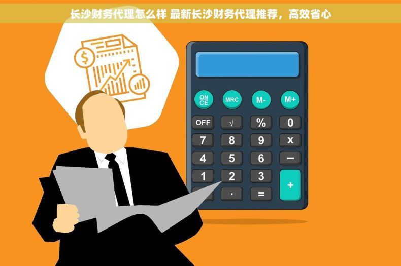 长沙财务代理怎么样 最新长沙财务代理推荐，高效省心