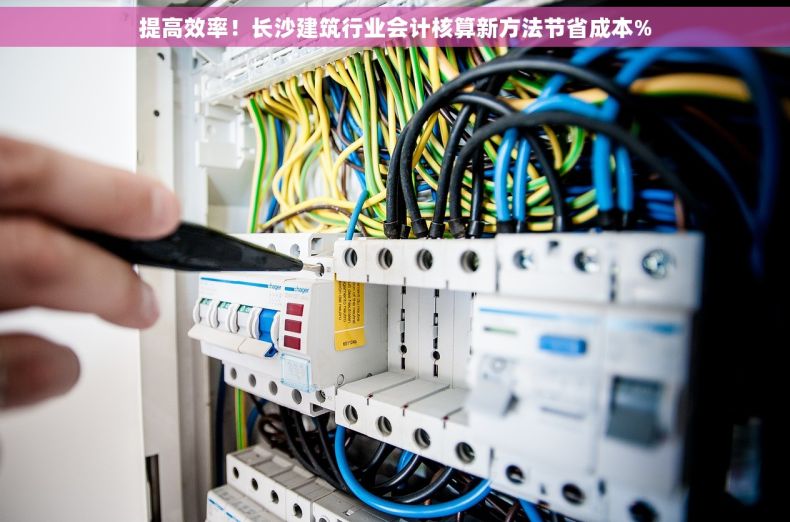 提高效率！长沙建筑行业会计核算新方法节省成本%