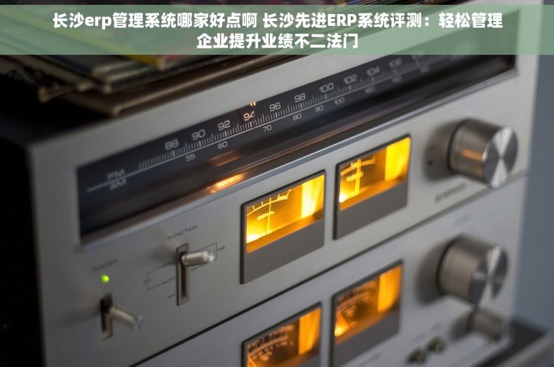 长沙erp管理系统哪家好点啊 长沙先进ERP系统评测：轻松管理企业提升业绩不二法门