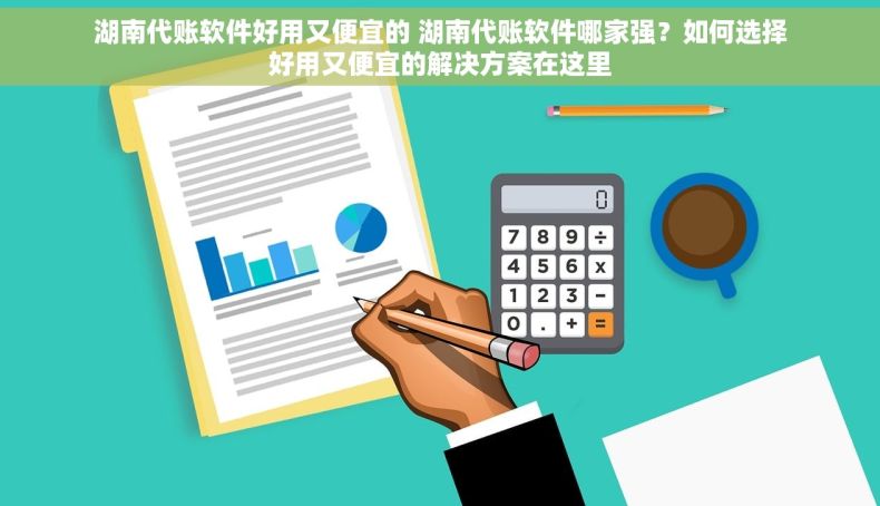 湖南代账软件好用又便宜的 湖南代账软件哪家强？如何选择好用又便宜的解决方案在这里