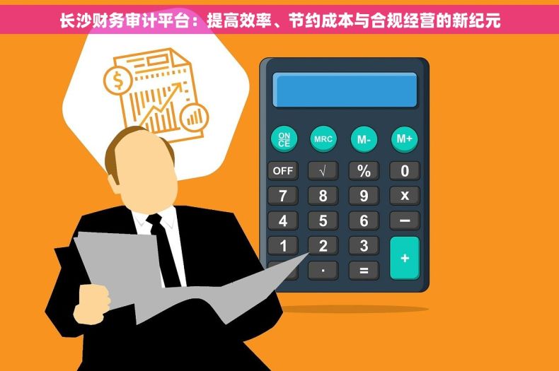 长沙财务审计平台：提高效率、节约成本与合规经营的新纪元