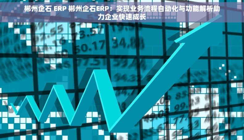 郴州企石 ERP 郴州企石ERP：实现业务流程自动化与功能解析助力企业快速成长