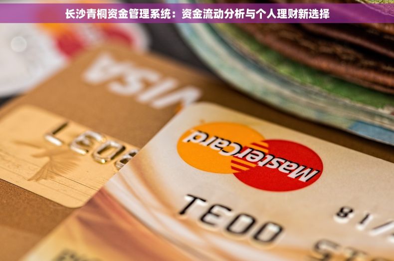 长沙青桐资金管理系统：资金流动分析与个人理财新选择