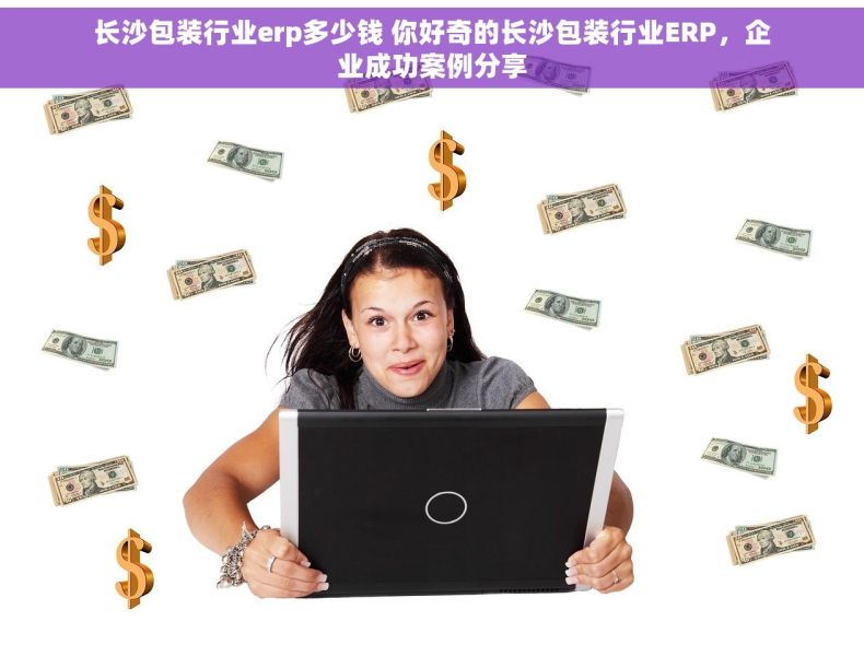 长沙包装行业erp多少钱 你好奇的长沙包装行业ERP，企业成功案例分享