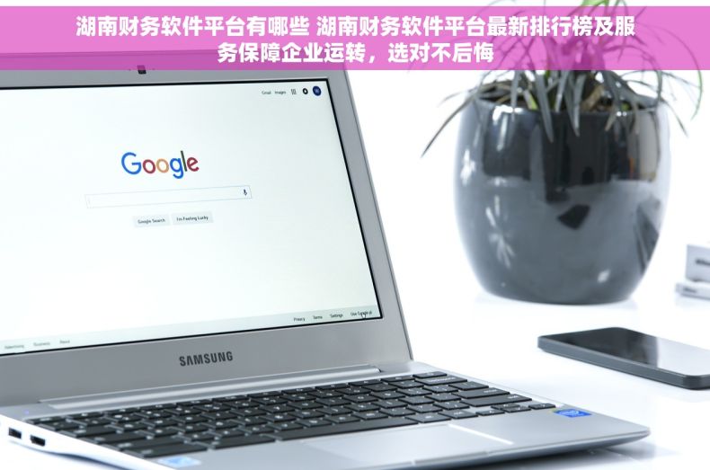 湖南财务软件平台有哪些 湖南财务软件平台最新排行榜及服务保障企业运转，选对不后悔