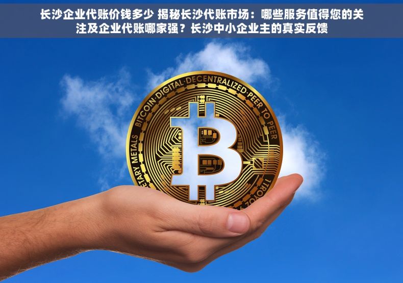 长沙企业代账价钱多少 揭秘长沙代账市场：哪些服务值得您的关注及企业代账哪家强？长沙中小企业主的真实反馈