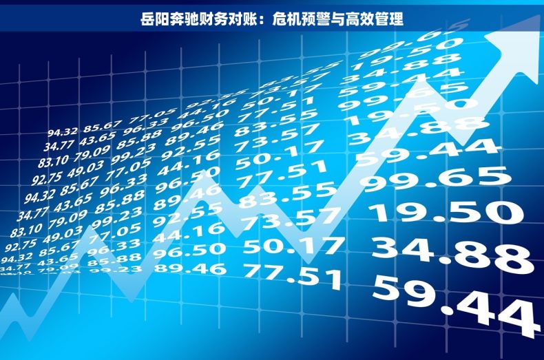 岳阳奔驰财务对账：危机预警与高效管理