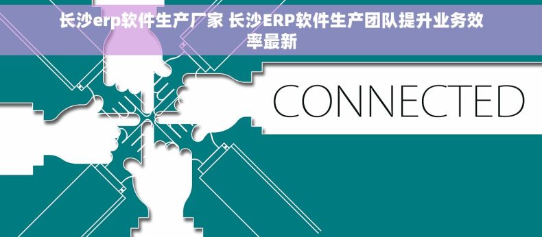 长沙erp软件生产厂家 长沙ERP软件生产团队提升业务效率最新