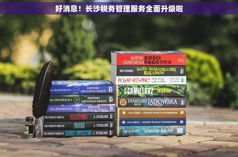 好消息！长沙税务管理服务全面升级啦