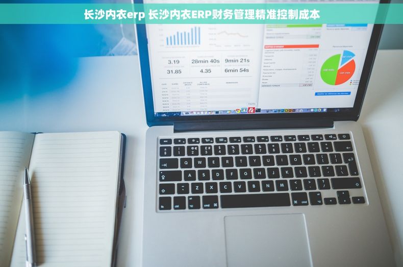 长沙内衣erp 长沙内衣ERP财务管理精准控制成本