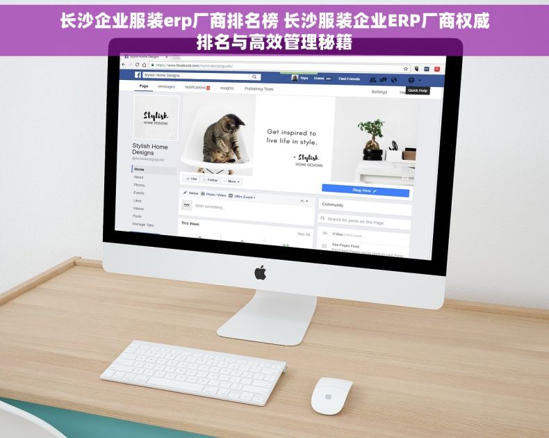 长沙企业服装erp厂商排名榜 长沙服装企业ERP厂商权威排名与高效管理秘籍