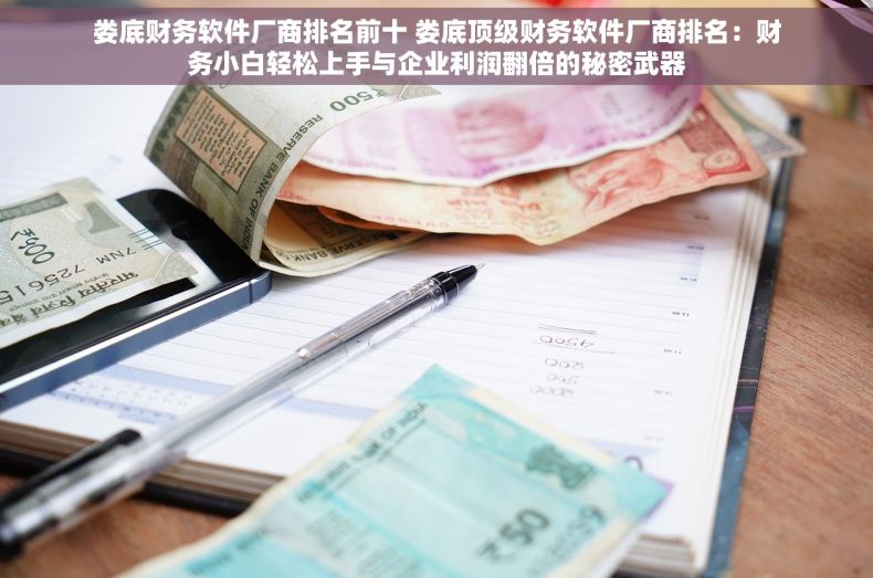 娄底财务软件厂商排名前十 娄底顶级财务软件厂商排名：财务小白轻松上手与企业利润翻倍的秘密武器