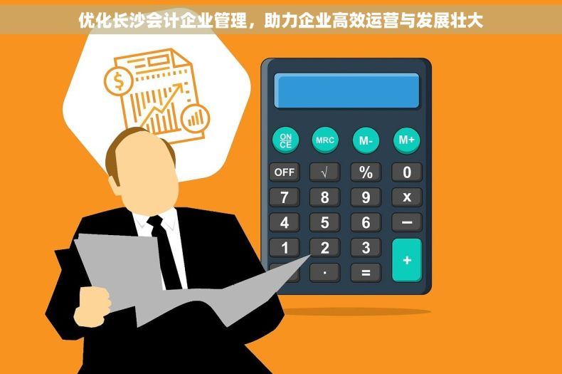 优化长沙会计企业管理，助力企业高效运营与发展壮大
