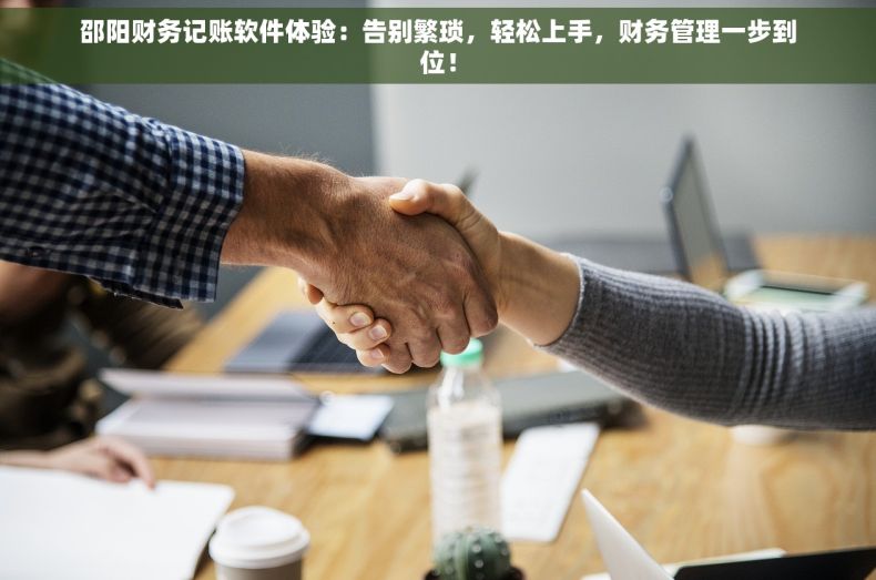 邵阳财务记账软件体验：告别繁琐，轻松上手，财务管理一步到位！
