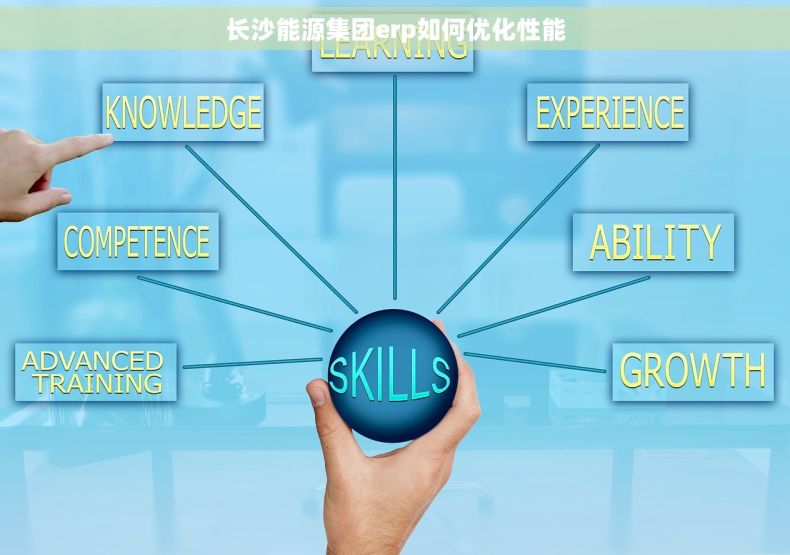 长沙能源集团erp如何优化性能