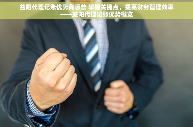 益阳代理记账优势有哪些 掌握关键点，提高财务管理效率——益阳代理记账优势概览