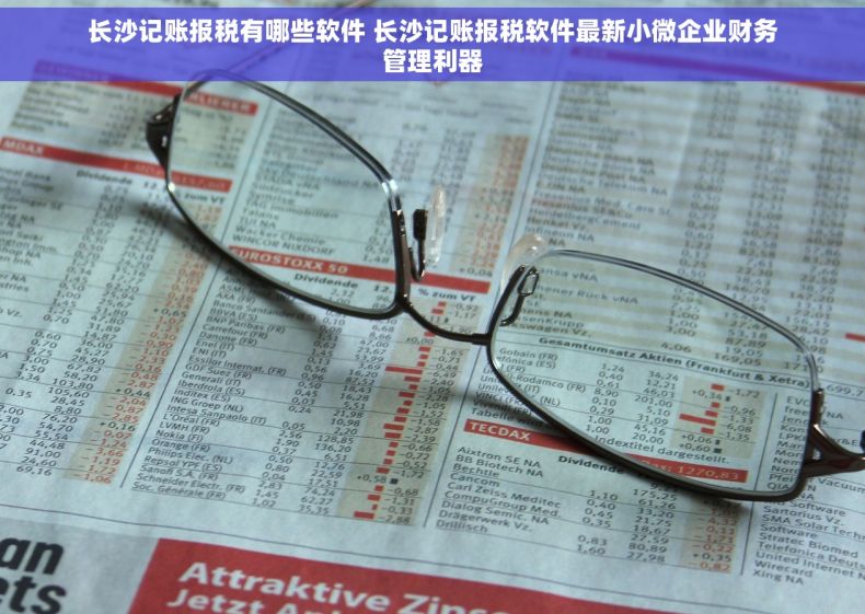 长沙记账报税有哪些软件 长沙记账报税软件最新小微企业财务管理利器
