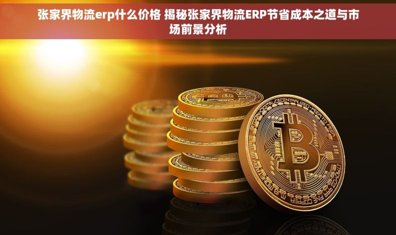 张家界物流erp什么价格 揭秘张家界物流ERP节省成本之道与市场前景分析