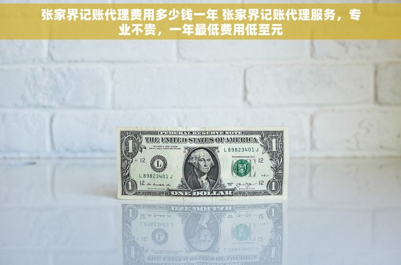 张家界记账代理费用多少钱一年 张家界记账代理服务，专业不贵，一年最低费用低至元