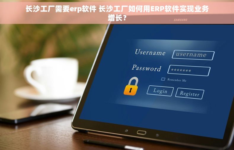 长沙工厂需要erp软件 长沙工厂如何用ERP软件实现业务增长？