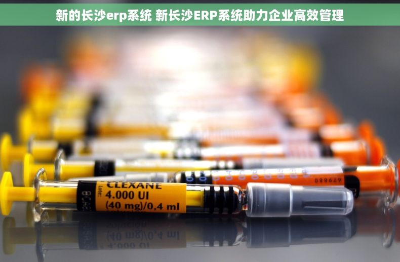 新的长沙erp系统 新长沙ERP系统助力企业高效管理