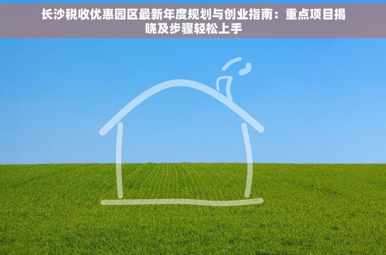 长沙税收优惠园区最新年度规划与创业指南：重点项目揭晓及步骤轻松上手