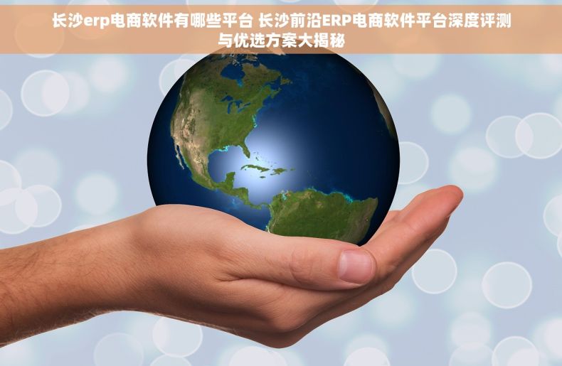 长沙erp电商软件有哪些平台 长沙前沿ERP电商软件平台深度评测与优选方案大揭秘
