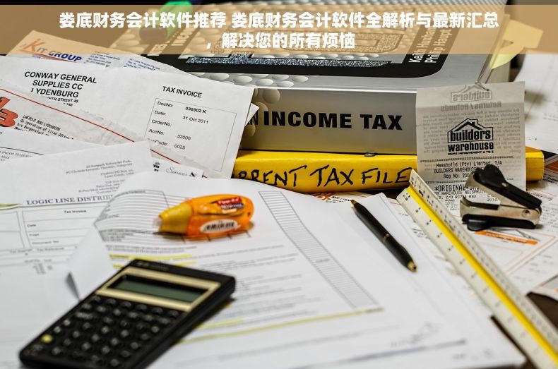 娄底财务会计软件推荐 娄底财务会计软件全解析与最新汇总，解决您的所有烦恼