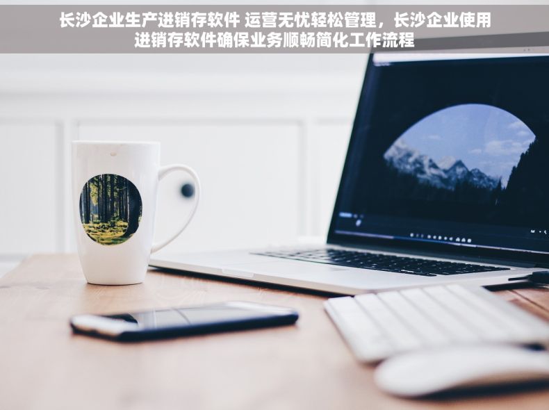 长沙企业生产进销存软件 运营无忧轻松管理，长沙企业使用进销存软件确保业务顺畅简化工作流程