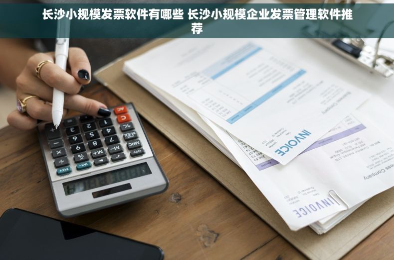 长沙小规模发票软件有哪些 长沙小规模企业发票管理软件推荐