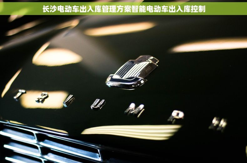 长沙电动车出入库管理方案智能电动车出入库控制